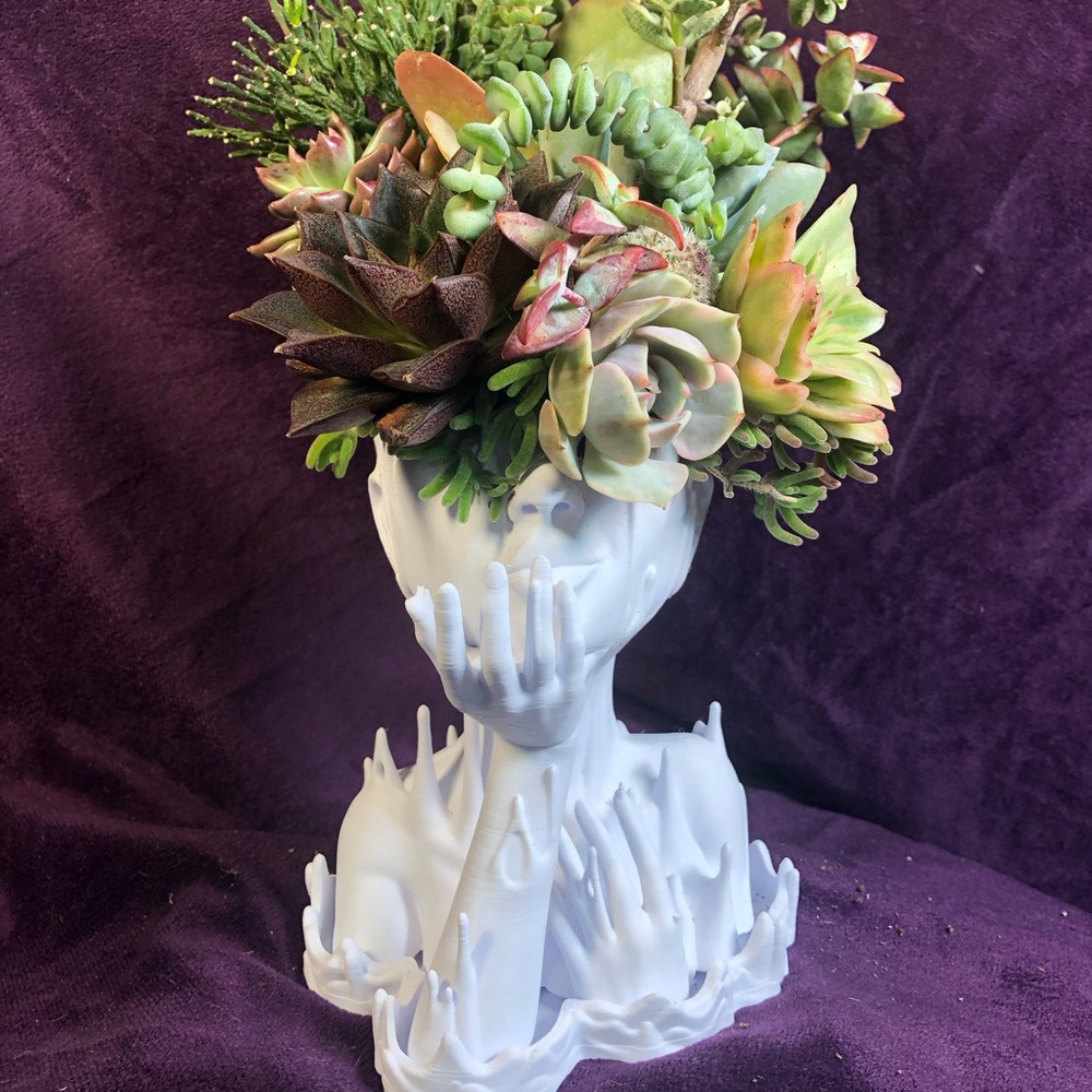 White Ceramic Face Planter with Succulents